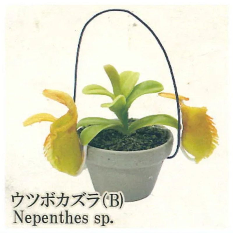 Mainan Kapsul Gashapon Pelangi - Capsule Toy Gashapon ulasan dan harga