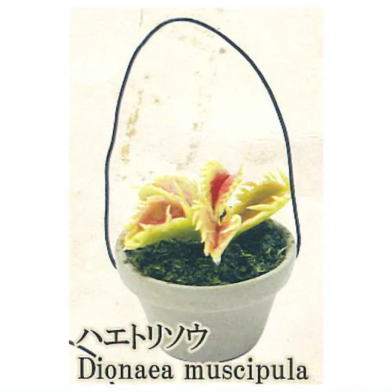 Mainan Kapsul Gashapon Pelangi - Capsule Toy Gashapon ulasan dan harga